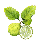 Bergamote