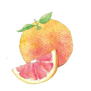 Pamplemousse Rose