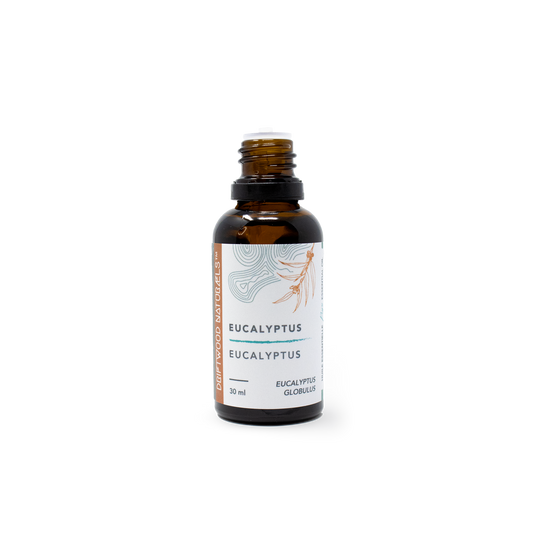 Eucalyptus — Pure Essential Oil