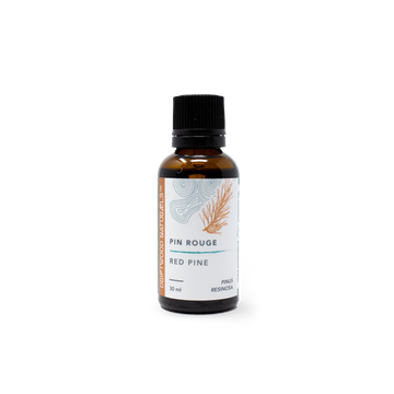 Red Pine — Pure Essential Oil