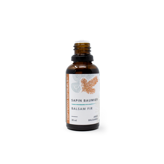 Balsam Fir — Pure Essential Oil