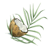 Huile de coconut