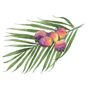 Huile de palme