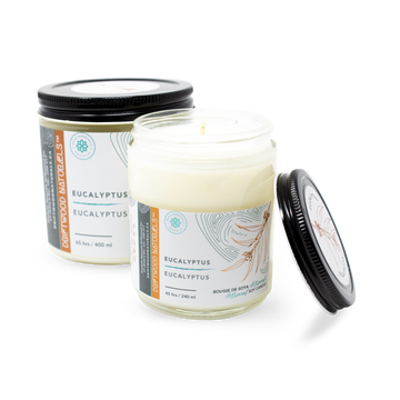 Eucalyptus — Artisanal Soy Candle