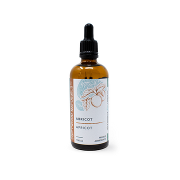 Apricot — Pure Carrier Oil