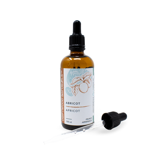 Apricot — Pure Carrier Oil