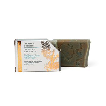 Lavender & Tea Tree — Artisanal Shampoo & Conditioner