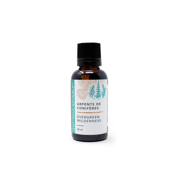 Evergreen Wilderness — Synergy Pure Essential Oil