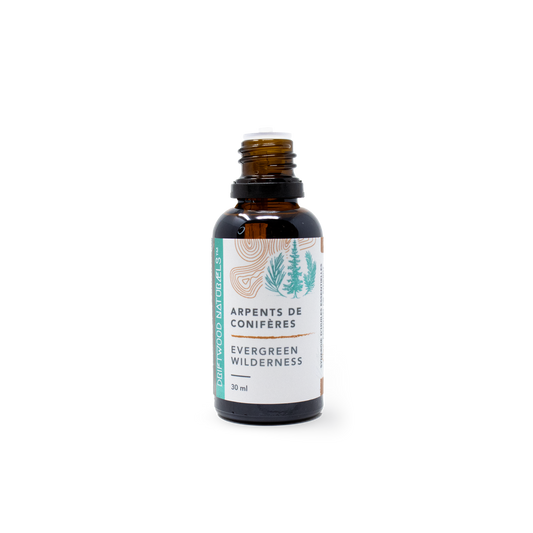 Evergreen Wilderness — Synergy Pure Essential Oil
