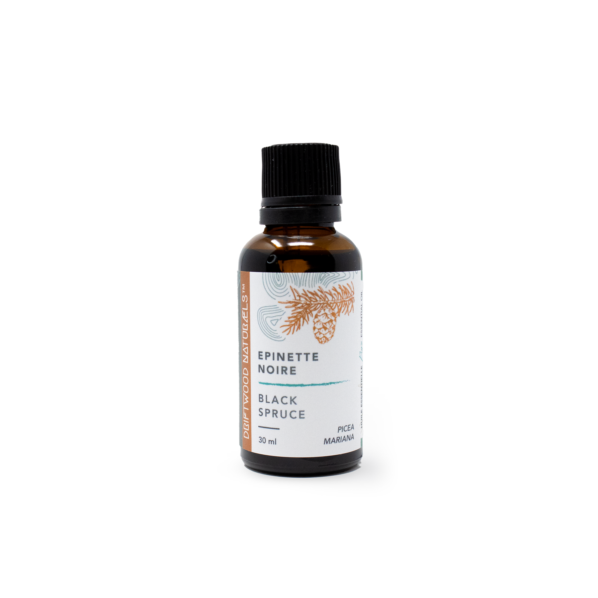 Black Spruce — Pure Essential Oil