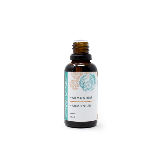 Harmonium — Synergy Pure Essential Oil