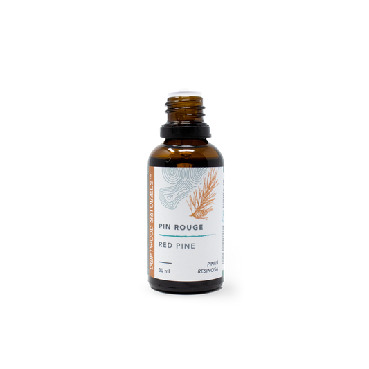 Red Pine — Pure Essential Oil