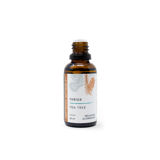 Théier - Huile Essentielle Pure