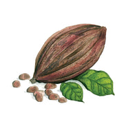 Beurre de cacao
