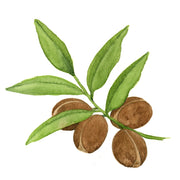 Argan
