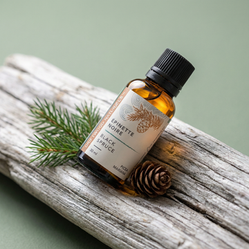 Black Spruce — Pure Essential Oil